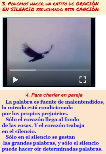 VER VIDEO